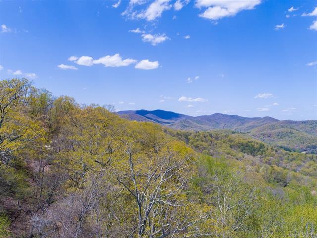960 Mills River Way - Photo 1
