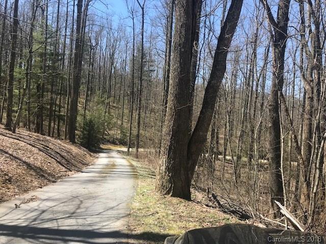 0000 Bearwallow Mountain Road - Photo 1