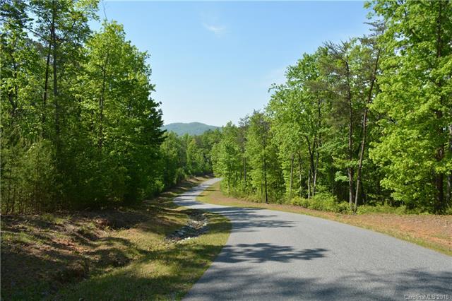 0000 High Ridge Trail - Photo 1