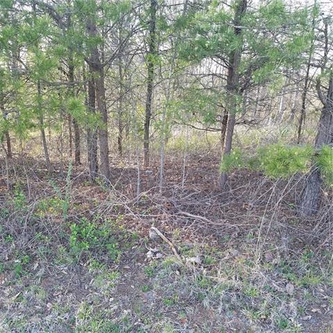 224 Fulbright Road - Photo 1
