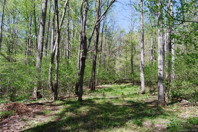 99999 Patton Hill Road - Photo 1