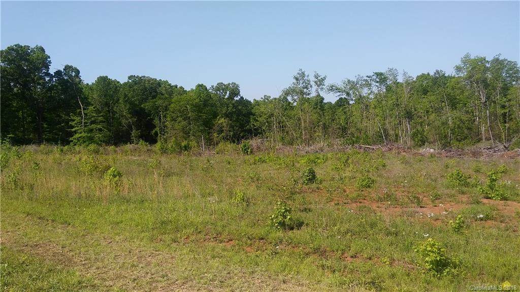 1221 Mollys Backbone Road - Photo 1
