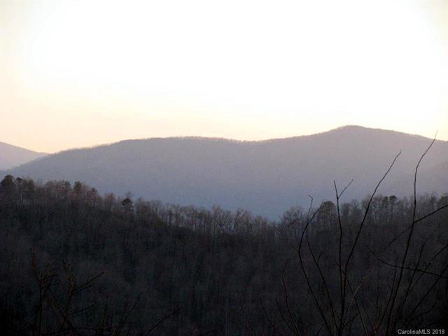 Lot #12 Brush Creek Road - Photo 1