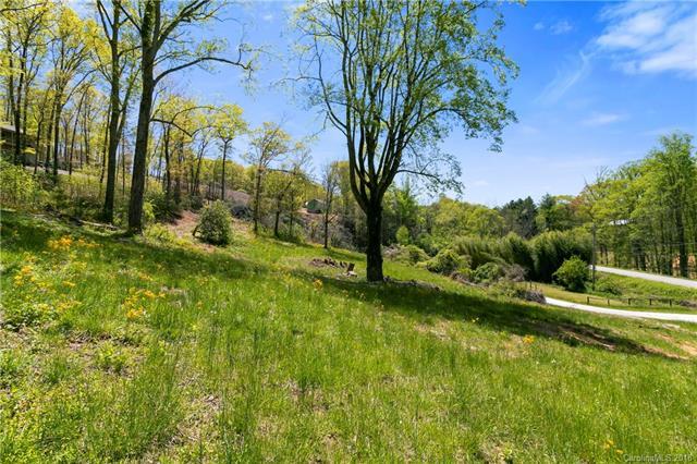 999 South Mills River Road - Photo 1