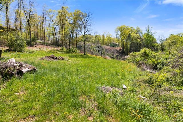 999 South Mills River Road - Photo 1