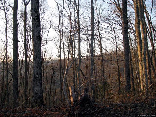 Lot #13 Brush Creek Road - Photo 1