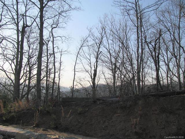 Lot #11 Brush Creek Road - Photo 1