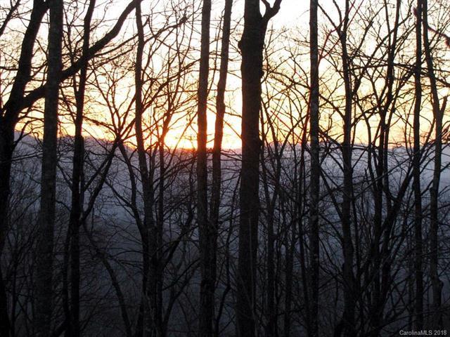 Lot #14 Brush Creek Road - Photo 1
