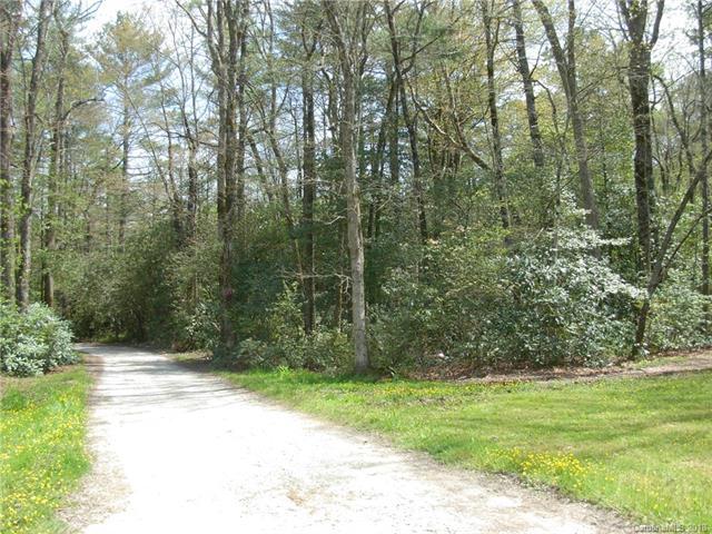 186 Black Bear Lane - Photo 1
