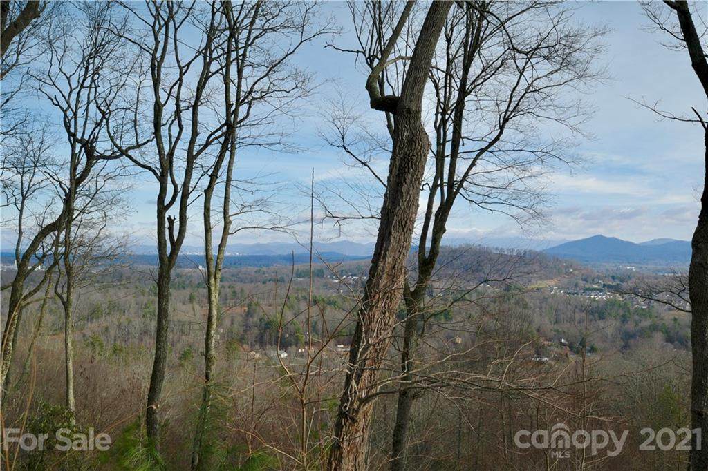 35 Ridge Pine Trail - Photo 1