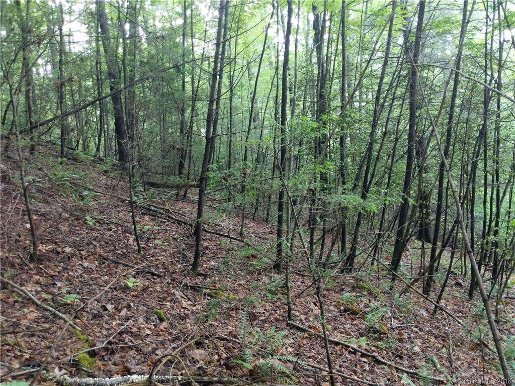 TBD Lovdia Lane - Photo 1