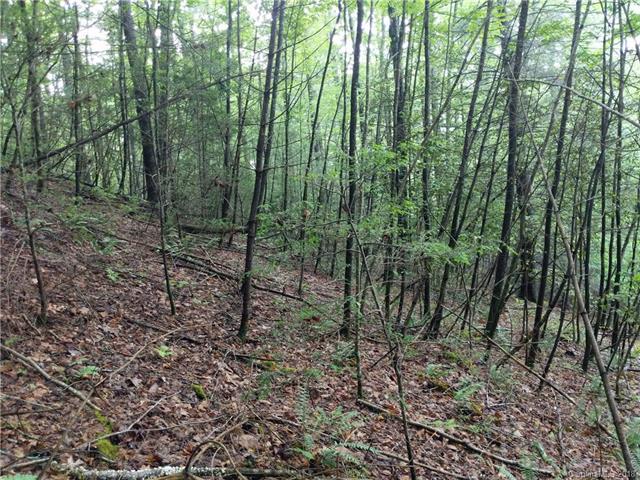 TBD Lovdia Lane - Photo 1
