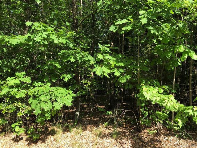 0 Crow Road - Photo 1