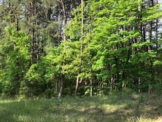 0 Hunters Ridge Road - Photo 1