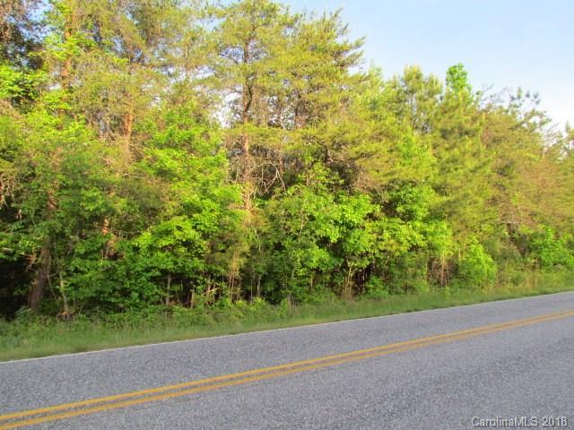 00 Little Mountain Road - Photo 1