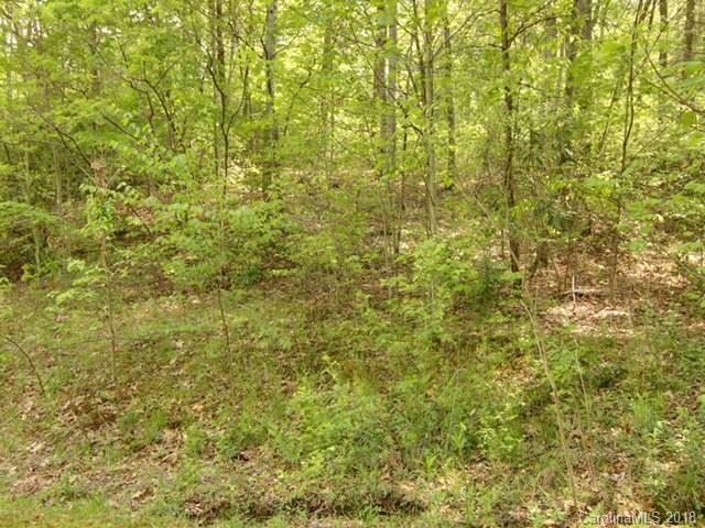 00000 Waterwood Lane - Photo 1