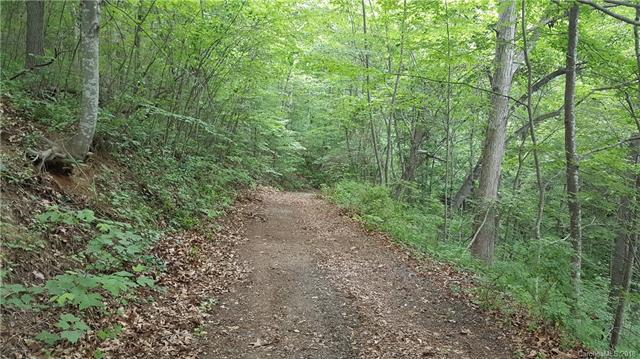 00000 Edna Trace - Photo 1