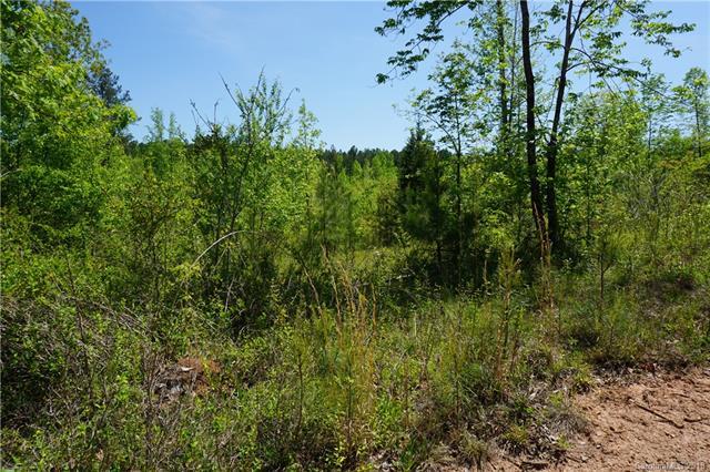 23.5 AC Parson Road - Photo 1