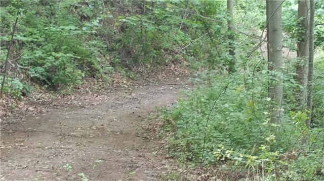 00000 Edna Trace - Photo 1