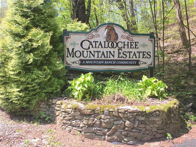 0000 Curry Comb Trail - Photo 1