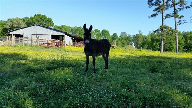 311 Absher Farm Loop - Photo 1