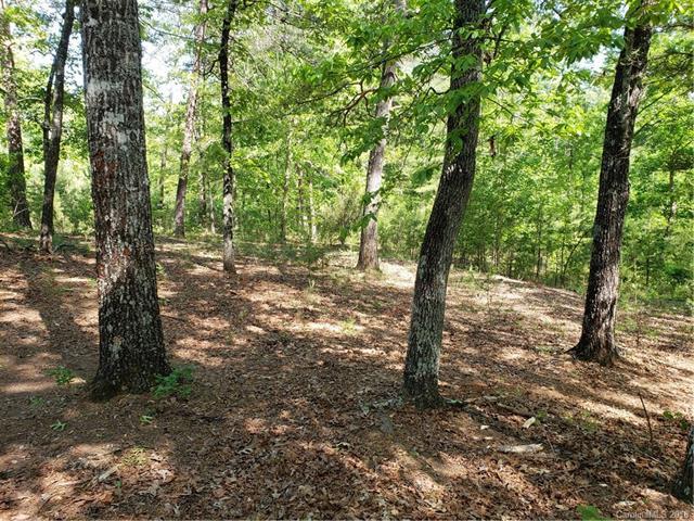 TBD Chimney Rock Road - Photo 1