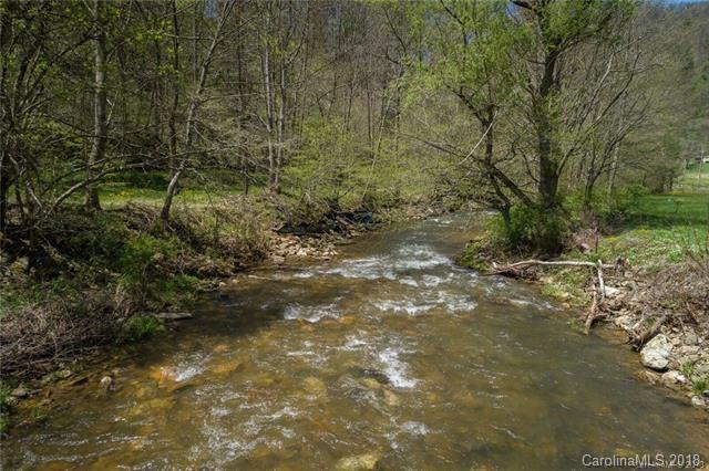 10383 Big Laurel Road - Photo 1