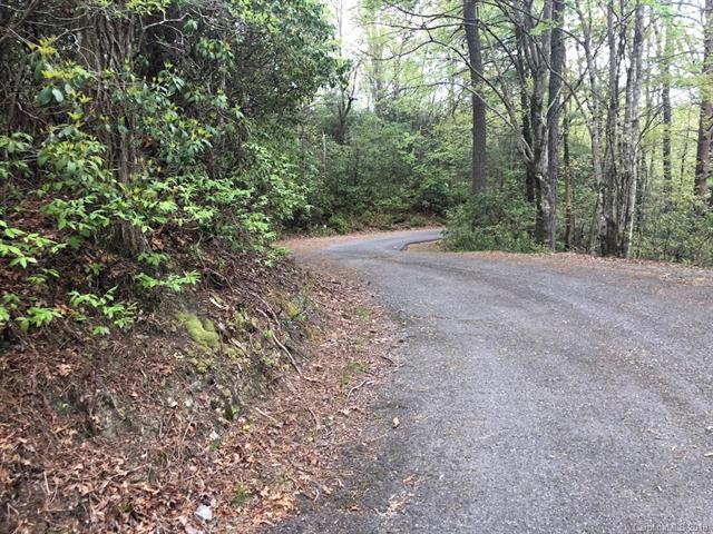 Lot 9 Galax Lane - Photo 1