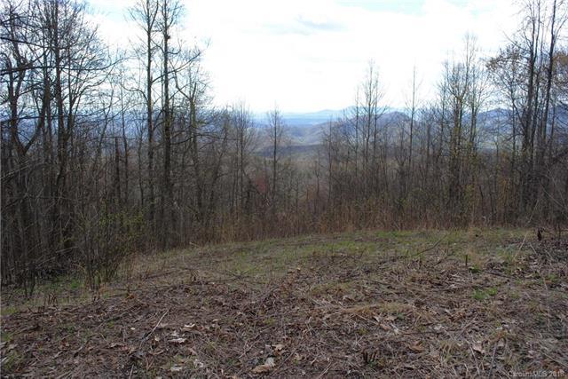 TBD Wolf Pen Road - Photo 1