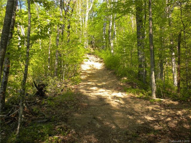 99999 Sand Branch Road - Photo 1