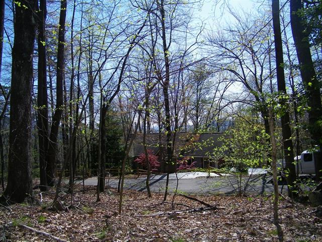 LOT 292 Big Rock Lane - Photo 1