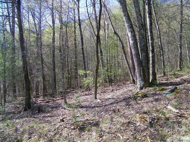 LOT 234 Quail Ridge Road - Photo 1
