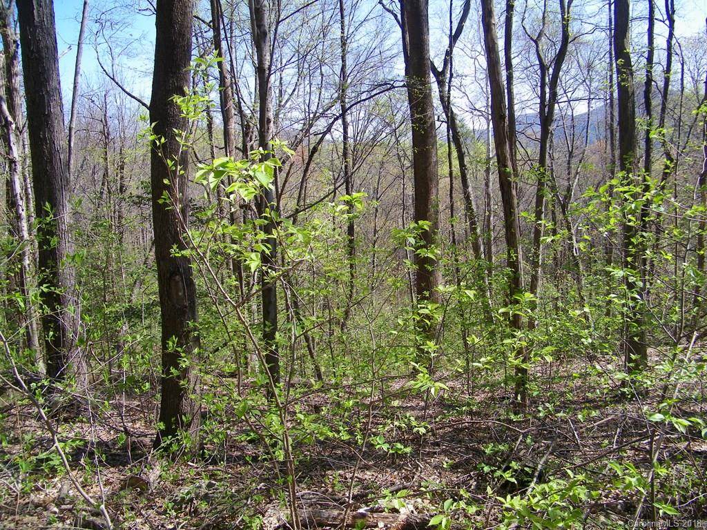 LOT 201 Bald Mountain Crescent - Photo 1