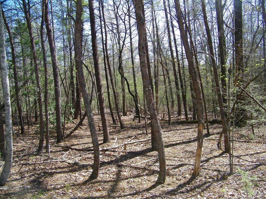 LOT 217 Quail Ridge Road - Photo 1