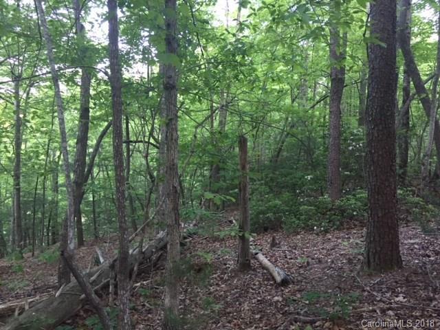 00 Echo Lane - Photo 1