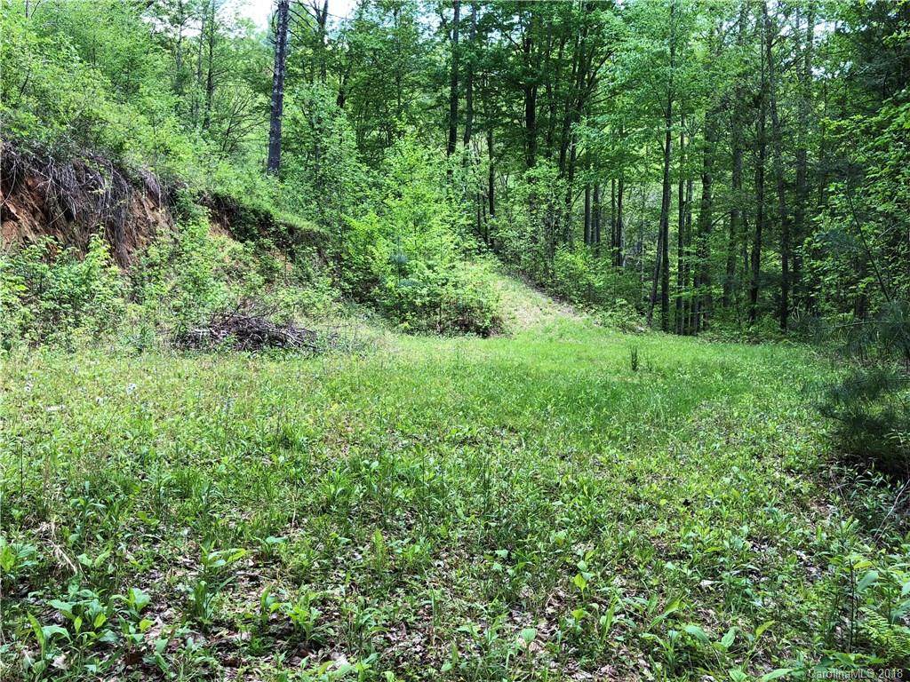 6 Gallant Moose Trail - Photo 1