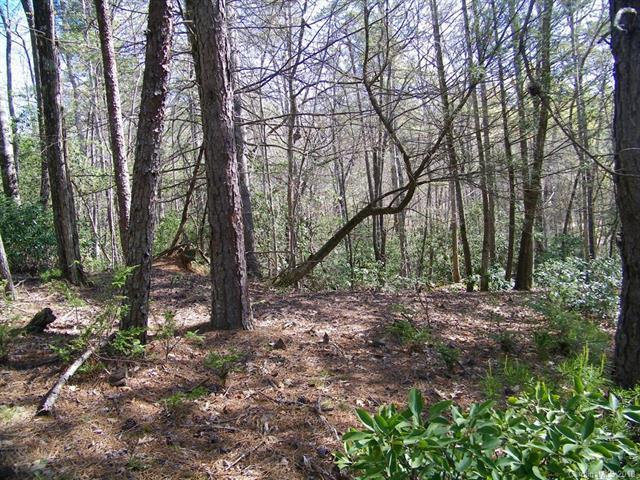 LOT 182 Weaver Lane - Photo 1