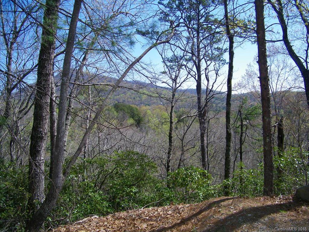 LOT 18 & 19 Woodpecker Lane - Photo 1