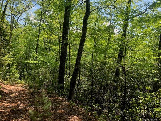 TBD Laurel Thicket Lane - Photo 1