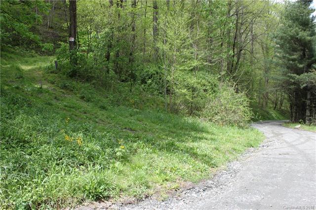255 Poplar Gap Road - Photo 1