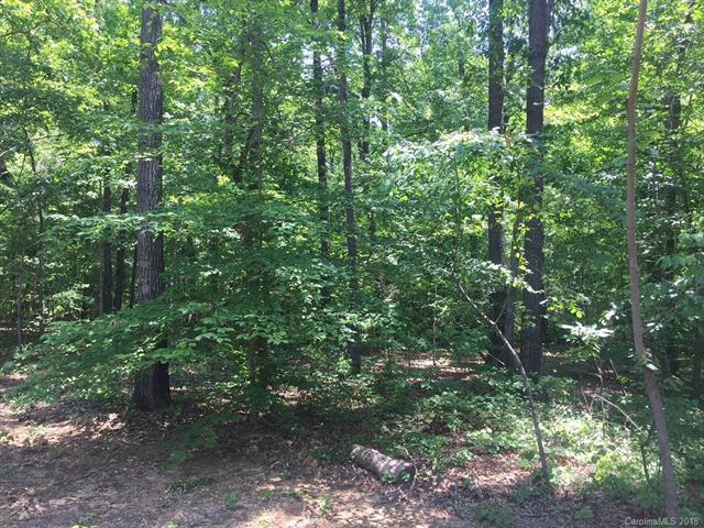 0000 St Timothy Road - Photo 1