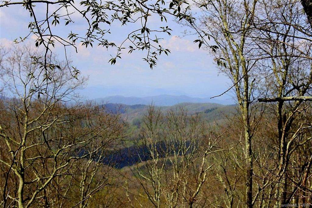 238 Hanging Rock Road - Photo 1