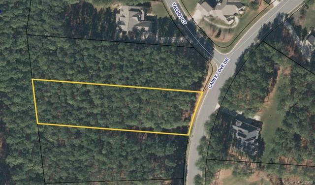 2357 Capes Cove Drive - Photo 1