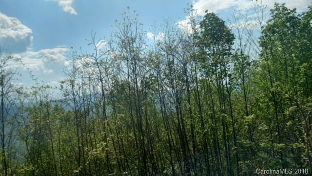 0 Hallelujah Acres Trail - Photo 1