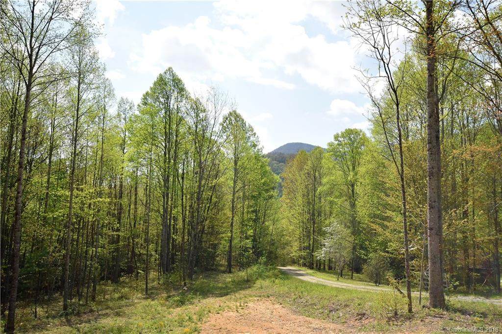 17 Cataloochee Lane - Photo 1 17 Cataloochee Lane - Photo 1