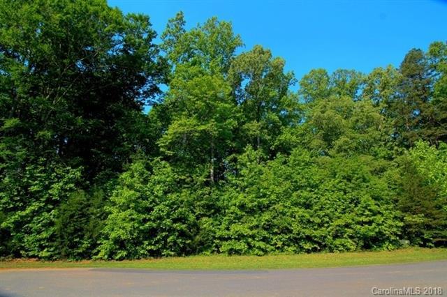 00 Timber Run Drive - Photo 1