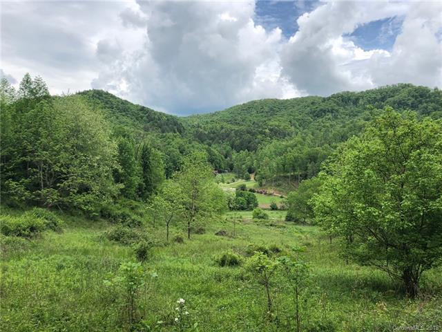 000 Meadow Fork Road - Photo 1