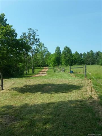 1067 Wildflower Trail - Photo 1