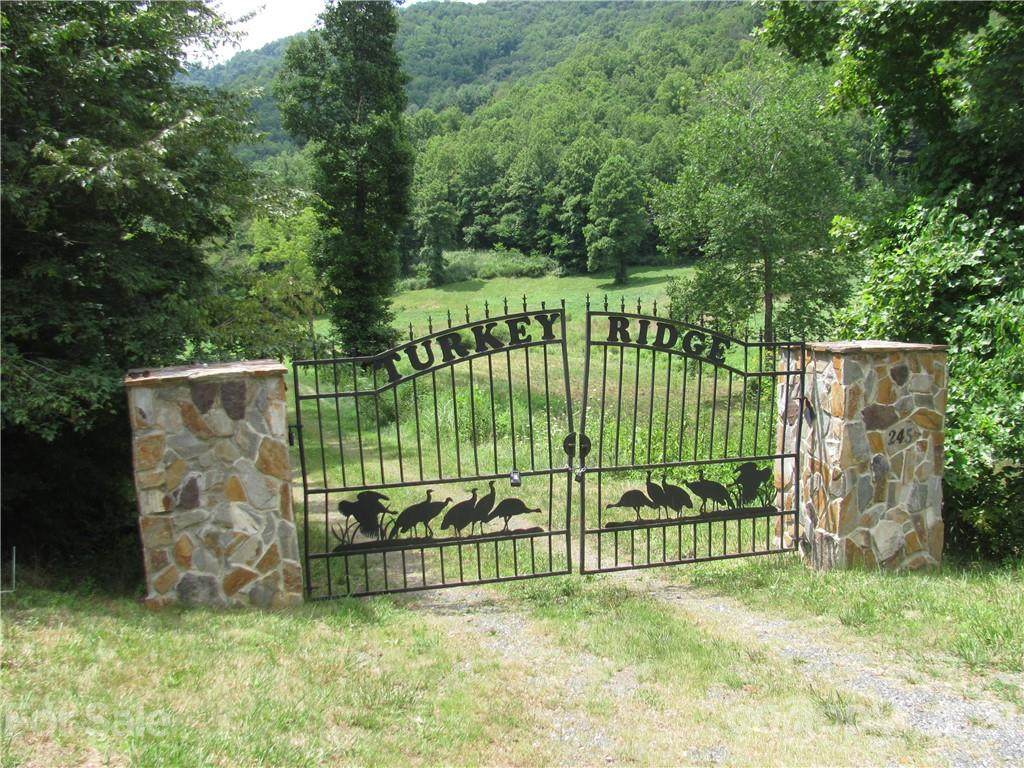 245 Paint Fork Road - Photo 1