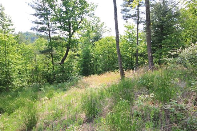 Lot 528 Roca Vista Drive - Photo 1